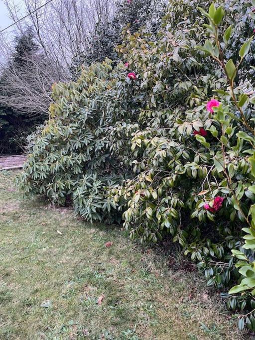 Maison Bretonne 7 Personnes Mellac Luaran gambar